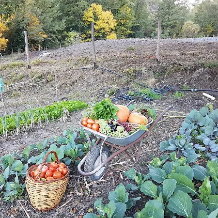Lantgård Quercia Antica